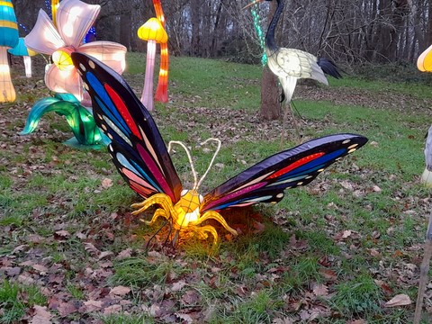 Lumieres Sauvages Thoiry janvier 2023 Lumieres Sauvages Thoiry janvier 2023