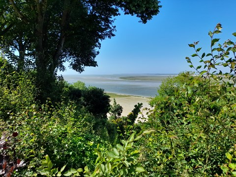 Baie de Somme Saint Valéry sur Somme mai 2025 Baie de Somme Saint Valéry sur Somme mai 2025