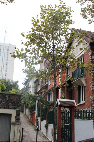 Octobre 2023 Quartier Mouzzia Octobre 2023 Quartier Mouzzia